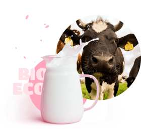 cow with bowl of milk